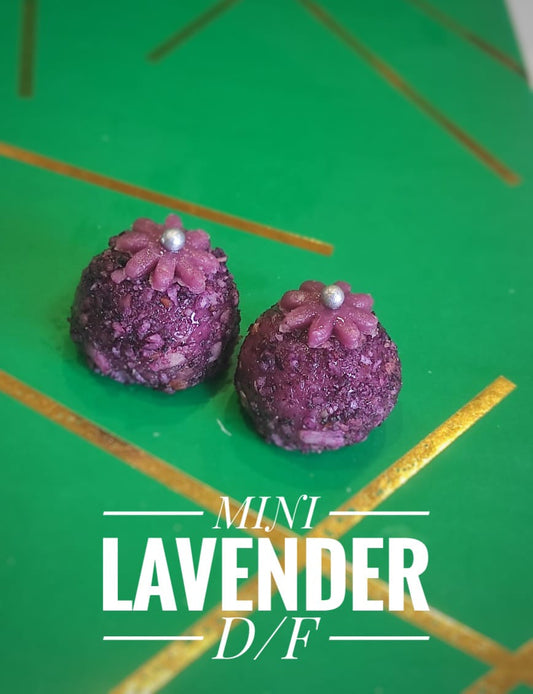 Dryfruit Mini Lavendar